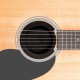 PLANET WAVES PW-SH-01 - демпфер для розетки акустической гитары