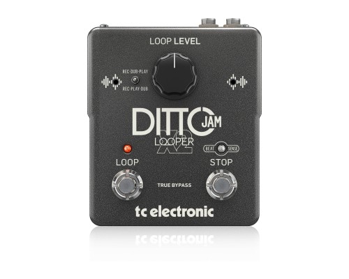 TC ELECTRONIC DITTO JAM X2 LOOPER - интуитивный лупер с технологией BeatSense