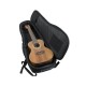 GATOR GB-4G-UKE CON - нейлоновый чехол для концертной укулеле
