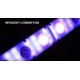 INVOLIGHT LEDBARFX103 - светодиодная панель 'блайндер' 10x 3Вт CREE (2800K WW)+ 60 x 5050SMD RGB