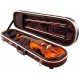 GATOR GC-VIOLIN 4/4 - пластиковый кейс для полноразмерной скрипки, цвет чёрный