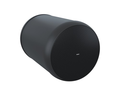 TANNOY OCV 8 - повдесная цилинтрическая акустическая система, 70 Вт, 16 Ом, цвет черный