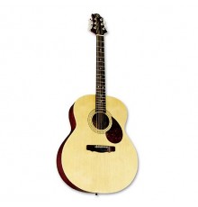 GREG BENNETT GJ100S N - акустическая гитара, корпус джамбо, ель, цвет натуральный