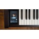 KAWAI CA701 EP - цифровое пианино, 88 клавиш, банкетка, механика Grand Feel III, цвет черный полиров