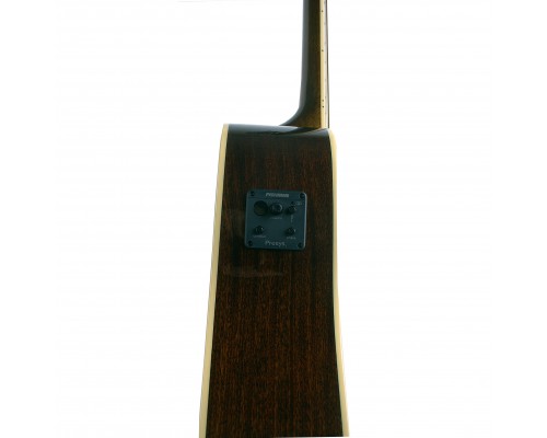 GREG BENNETT GD112SCE N - электроакустическая гитара 12-струнная, дредноут с вырезом, цвет натуралый