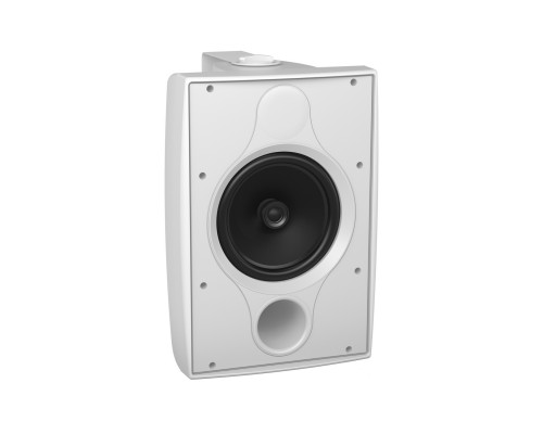 TANNOY DVS 8T WH - всепогодная акустическая система, 70Вт, 6 Ом, 70В: 60 Вт/30 Вт/15 Вт/7,5 Вт 100В